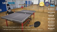 Table Tennis Touch screenshot, image №1565070 - RAWG