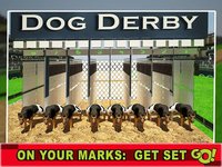 Race Dog Racer Simulator 2016 – Virtual Racing Championship with Real Police Dogs screenshot, image №1743299 - RAWG