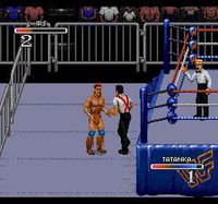 WWF Rage in the Cage screenshot, image №740436 - RAWG