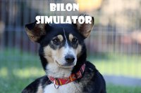 Bilon Simulator screenshot, image №1849226 - RAWG