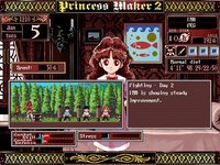 Princess Maker 2 screenshot, image №302602 - RAWG