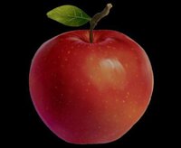 apple scoop game screenshot, image №3584261 - RAWG