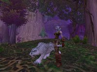 World of Warcraft screenshot, image №351866 - RAWG