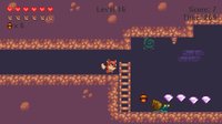 Sly As A Fox screenshot, image №2231214 - RAWG