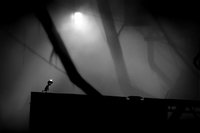 LIMBO demo screenshot, image №1353486 - RAWG