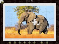 1001 Jigsaw World Tour Africa screenshot, image №3964652 - RAWG