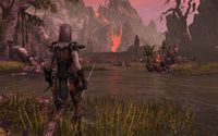 The Elder Scrolls Online screenshot, image №593870 - RAWG