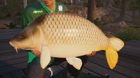 Fishing Sim World: Pro Tour + The Catch: Carp & Coarse screenshot, image №2649360 - RAWG