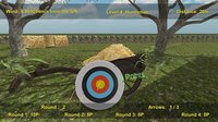 Precision Archery: Competitive screenshot, image №718021 - RAWG
