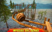 Extreme Ball Balance 3D screenshot, image №1702071 - RAWG