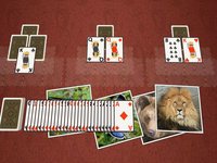 TriPeaks Wild Animals screenshot, image №1330752 - RAWG