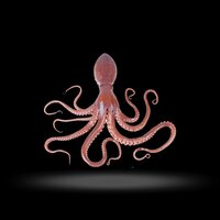 Squid Game (itch) (BN04) screenshot, image №3103597 - RAWG