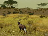 Cabela's African Safari screenshot, image №465473 - RAWG