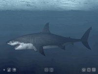 Talking Great White HD - for iPad screenshot, image №2060702 - RAWG