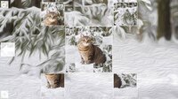 Puzzle Art: Cats screenshot, image №3051758 - RAWG