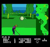 Greg Norman's Golf Power screenshot, image №735996 - RAWG