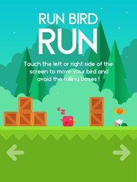 Run Bird Run screenshot, image №678682 - RAWG
