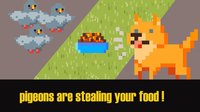 Akita's feeding bowl screenshot, image №2303233 - RAWG