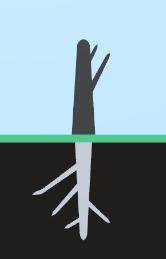 LD45 - Cultivation screenshot, image №2202226 - RAWG
