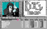 The Bard's Tale II: The Destiny Knight screenshot, image №321500 - RAWG