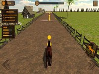 Wild Horse Racing Champions screenshot, image №1664247 - RAWG
