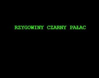 rzygowiny czarny pałac screenshot, image №3559608 - RAWG