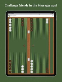 Backgammon with Buddies screenshot, image №1980867 - RAWG