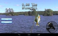 i Fishing 3 Lite screenshot, image №1536503 - RAWG