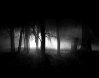 The Curse of Night Island screenshot, image №1255381 - RAWG