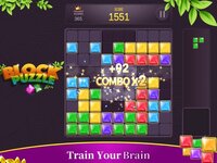 Block Puzzle - Fun Games screenshot, image №3904238 - RAWG