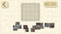 Ultimate Puzzles Collection screenshot, image №2951521 - RAWG