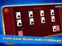 Cribbage Solitaire Challenge screenshot, image №2341705 - RAWG