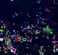Trench (Snow Yunxue Fu) screenshot, image №2415379 - RAWG