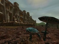 Asheron's Call 2: Legions screenshot, image №412843 - RAWG