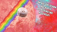 Turbocat Saves the Internet screenshot, image №1145067 - RAWG