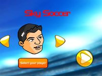 Sky Soccer-easy screenshot, image №1684169 - RAWG