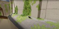 The Lost Racoon screenshot, image №3675732 - RAWG