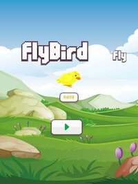 fly bird hd screenshot, image №977635 - RAWG