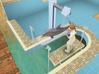 Pet Vet 3D Animal hospital Down Under screenshot, image №3285697 - RAWG