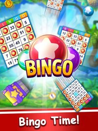 Bingo Frenzy2022 screenshot, image №3293308 - RAWG