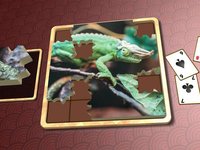 Jigsaw Solitaire Great Outdoors screenshot, image №1986672 - RAWG