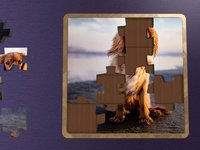 Super Jigsaws Dogs screenshot, image №1330788 - RAWG