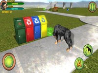 Rottweiler Dog Life Simulator screenshot, image №1333746 - RAWG