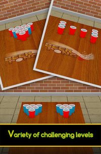 Beer Pong screenshot, image №2102782 - RAWG