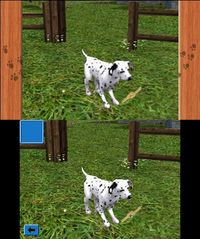 Me & My Pets 3D screenshot, image №263413 - RAWG