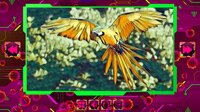 Twizzle Puzzle: Birds screenshot, image №4005963 - RAWG