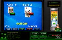 Hoyle Casino Games (2009) screenshot, image №369162 - RAWG