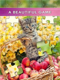 Puzzles & Jigsaws Pro screenshot, image №1779702 - RAWG