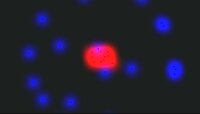 Con-fusion screenshot, image №2948894 - RAWG