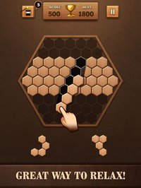 Wooden Hexagon Fit: Hexa Block screenshot, image №903111 - RAWG